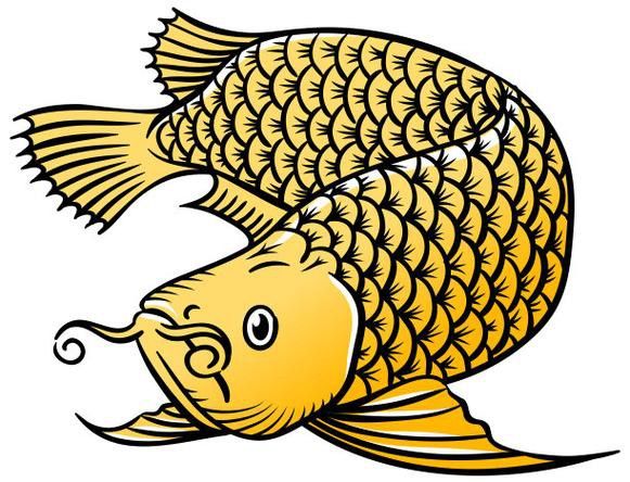 福龍龍魚圖片高清壁紙大全