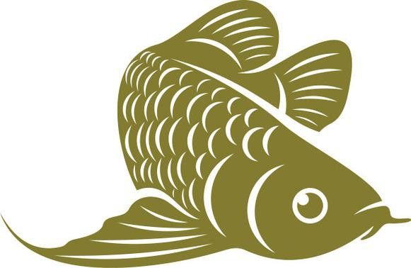 福龍龍魚圖片高清壁紙大全