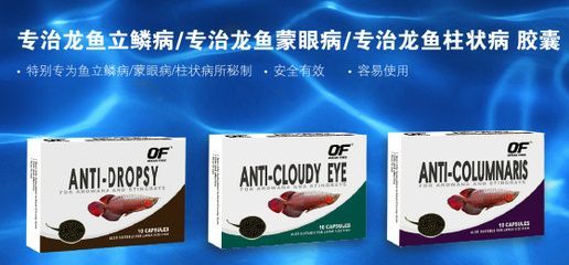 龍魚立鱗怎么治，龍魚立鱗治療后的護(hù)理要點(diǎn)