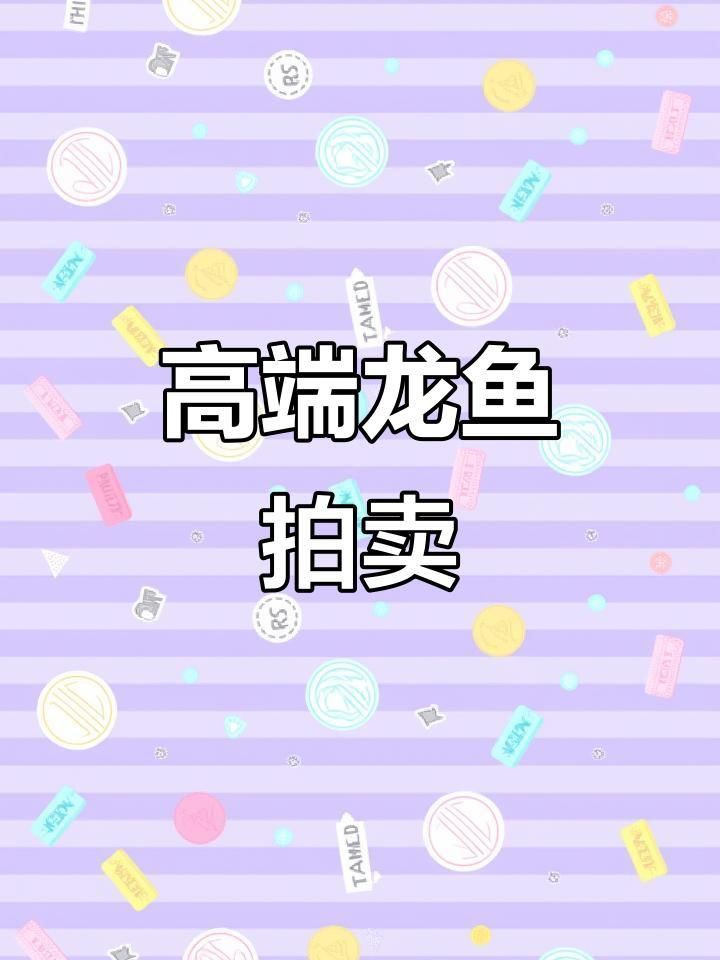 藍龍魚多少錢一只