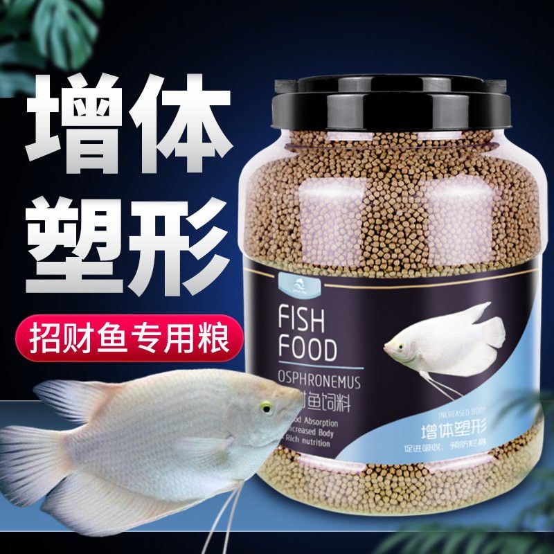 龍魚燈建議多少k（如何選擇龍魚燈）
