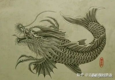 古代龍魚圖騰叫什么：古代龍魚圖騰叫什么？ 古代龍魚圖騰叫什么：古代龍魚圖騰叫什么？ 龍魚百科 第1張