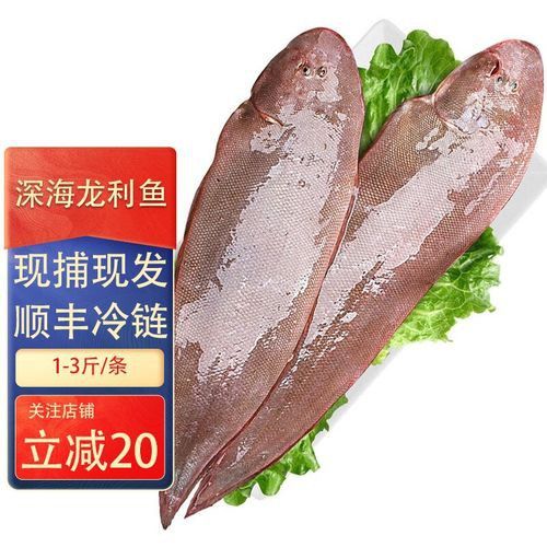 煙臺金龍魚舌體銷售怎么樣