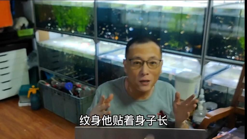 如何判斷魚是否感染爛尾病？ 如何判斷魚是否感染爛尾病？ 龍魚百科 第11張