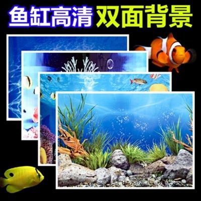 龍魚魚缸背景圖魚子醬：龍魚魚缸背景圖的設計技巧