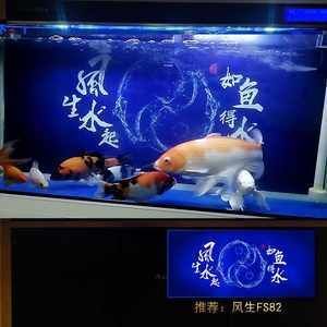 龍魚魚缸背景圖魚子醬：龍魚魚缸背景圖的設計技巧 龍魚魚缸背景圖魚子醬：龍魚魚缸背景圖的設計技巧 龍魚百科 第5張