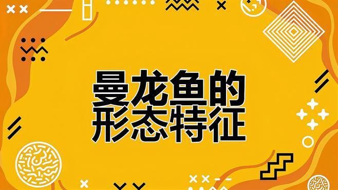 曼龍魚和銀龍魚哪個更漂亮？