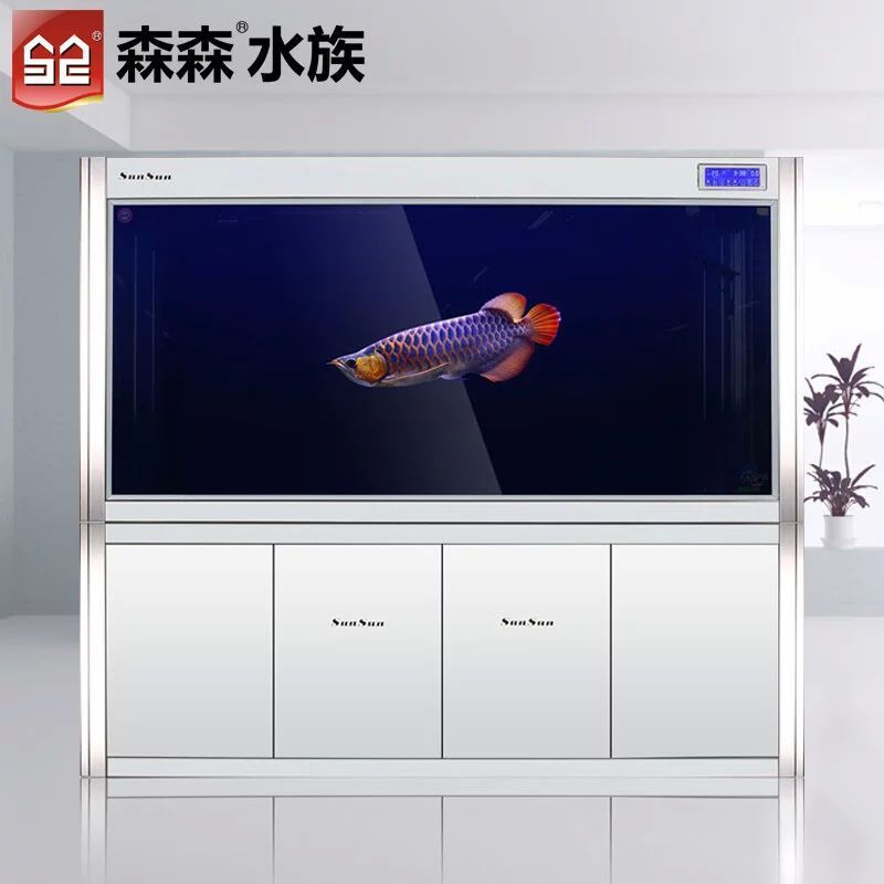 龍魚多大尺寸使用側燈：龍魚側燈的使用時機