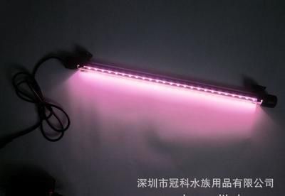 龍魚用燈架好還是水中燈好：紅龍魚光照需求解析金龍魚光照需求解析金龍魚光照需求解析