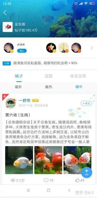 鎏金魚混養(yǎng)的最佳方法
