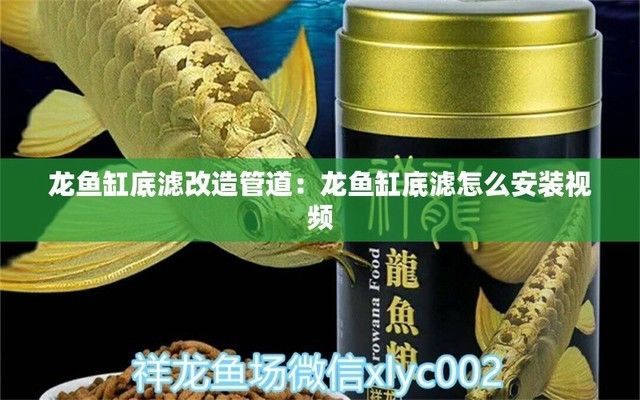 龍魚缸底過濾改造（如何改造龍魚缸底過濾）
