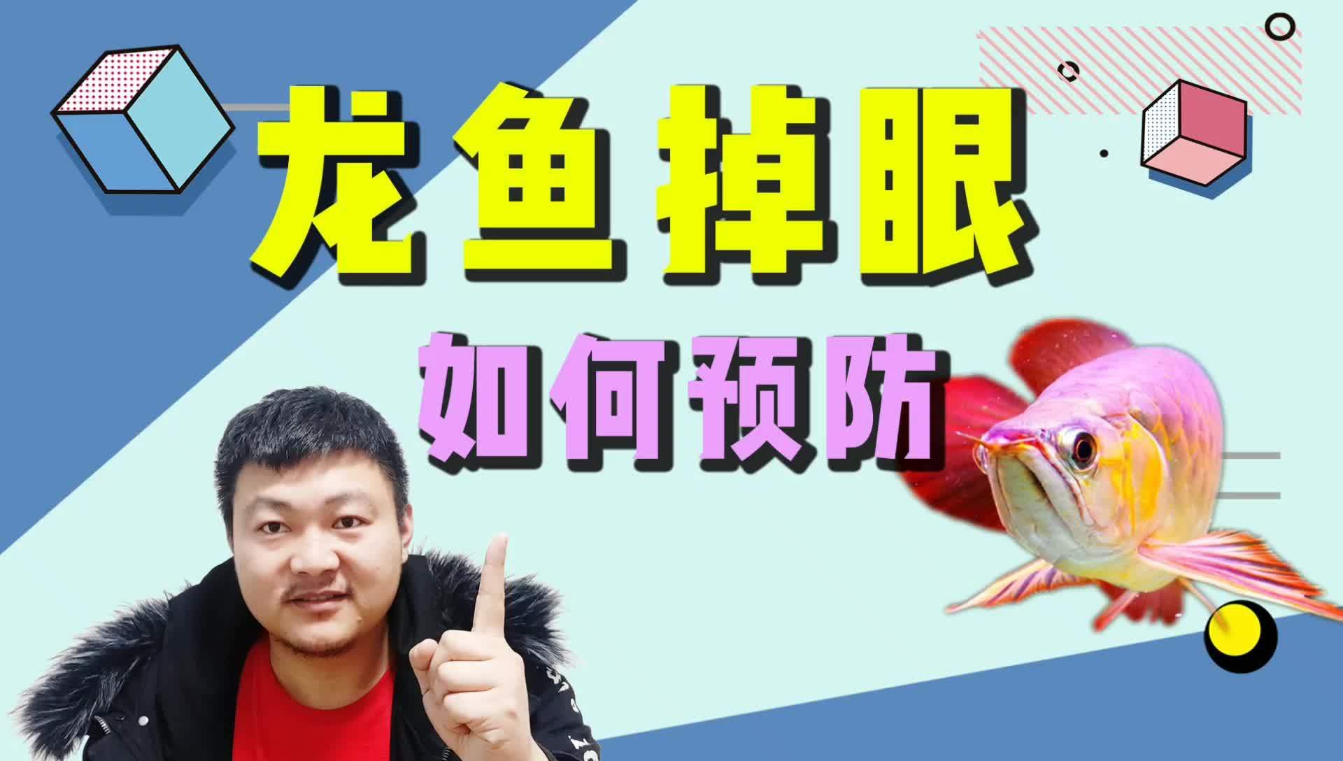 如何預防銀龍魚掉眼癥？ 如何預防銀龍魚掉眼癥？ 龍魚百科 第4張