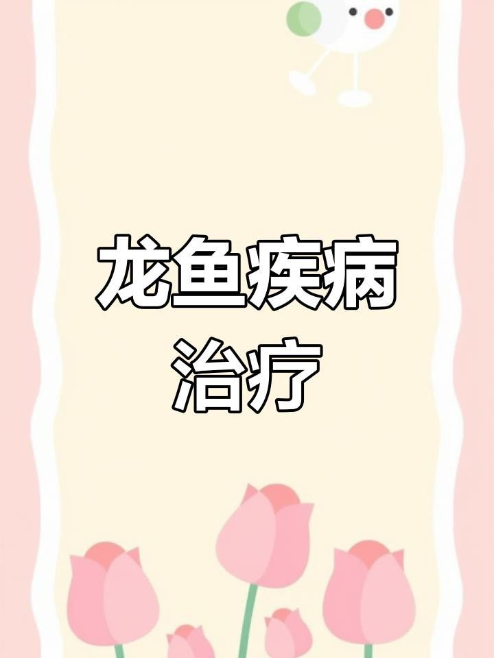 超血紅龍魚的最佳飼養(yǎng)環(huán)境是怎樣的？ 超血紅龍魚的最佳飼養(yǎng)環(huán)境是怎樣的？ 龍魚百科 第9張