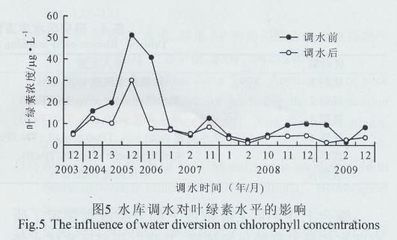 薩伊藍魚可以和龍魚混養嗎：薩伊藍龍魚混養及PH值管理指南