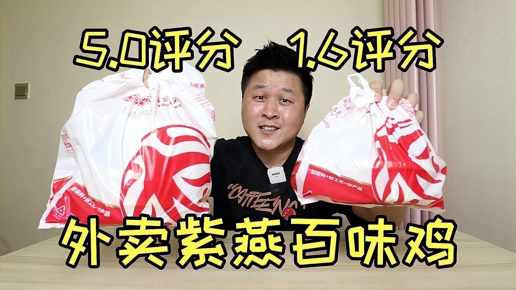 哪里可以購買到紫燕血紅龍？