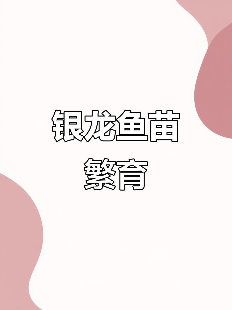 如何保持銀龍魚血統純正？