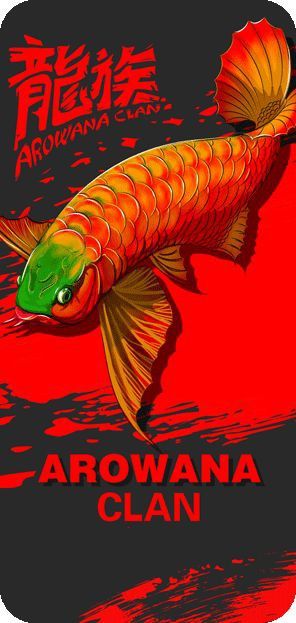 龍魚論壇吧 龍魚論壇吧 龍魚百科