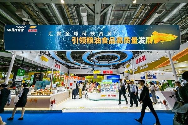 金龍魚品牌屬于哪個國家