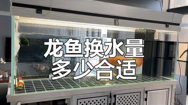 曼龍魚多久需要換一次水？