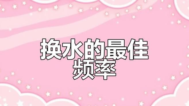 曼龍魚(yú)多久需要換一次水？