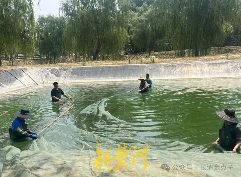 濟南龍魚養(yǎng)殖場地址