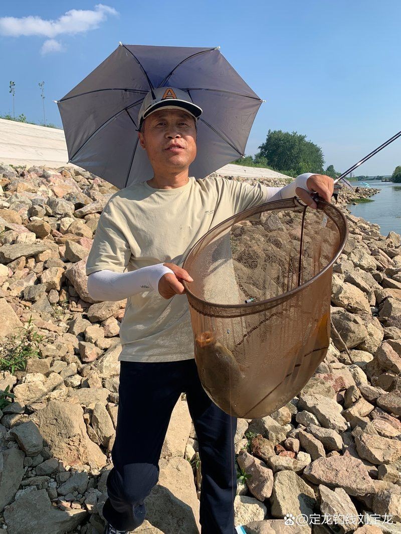 定龍魚線的勁磨怎么樣 定龍魚線的勁磨怎么樣 龍魚百科 第4張