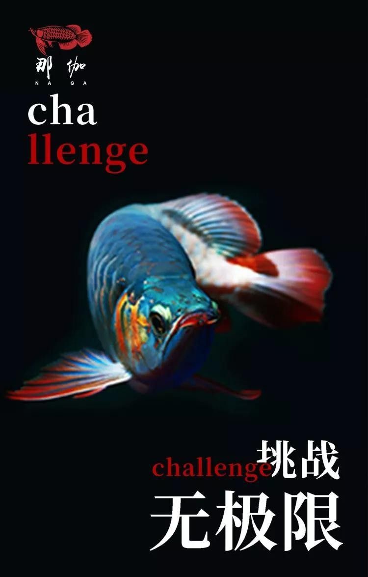 龍魚駝背后多久會恢復？