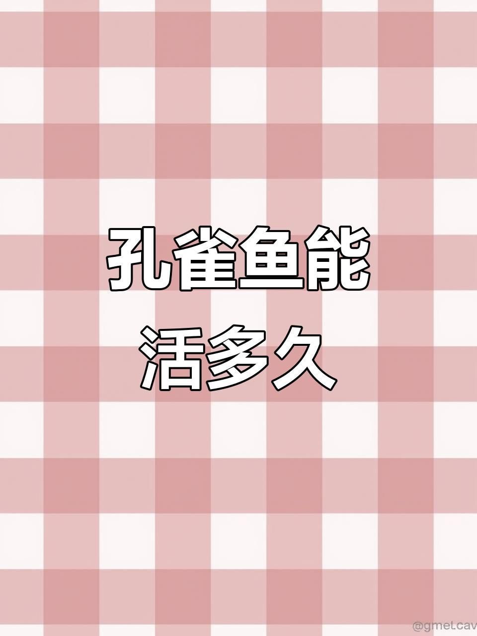 孔雀魚壽命一般多長時間 孔雀魚壽命一般多長時間 龍魚百科 第2張