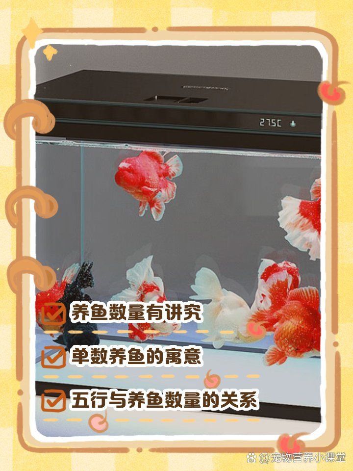 龍魚養單數還是雙數