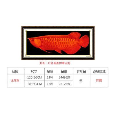 金龍魚尺寸：金龍魚的魚缸尺寸、產品產品尺寸以及養殖方法 金龍魚尺寸：金龍魚的魚缸尺寸、產品產品尺寸以及養殖方法 龍魚百科 第6張