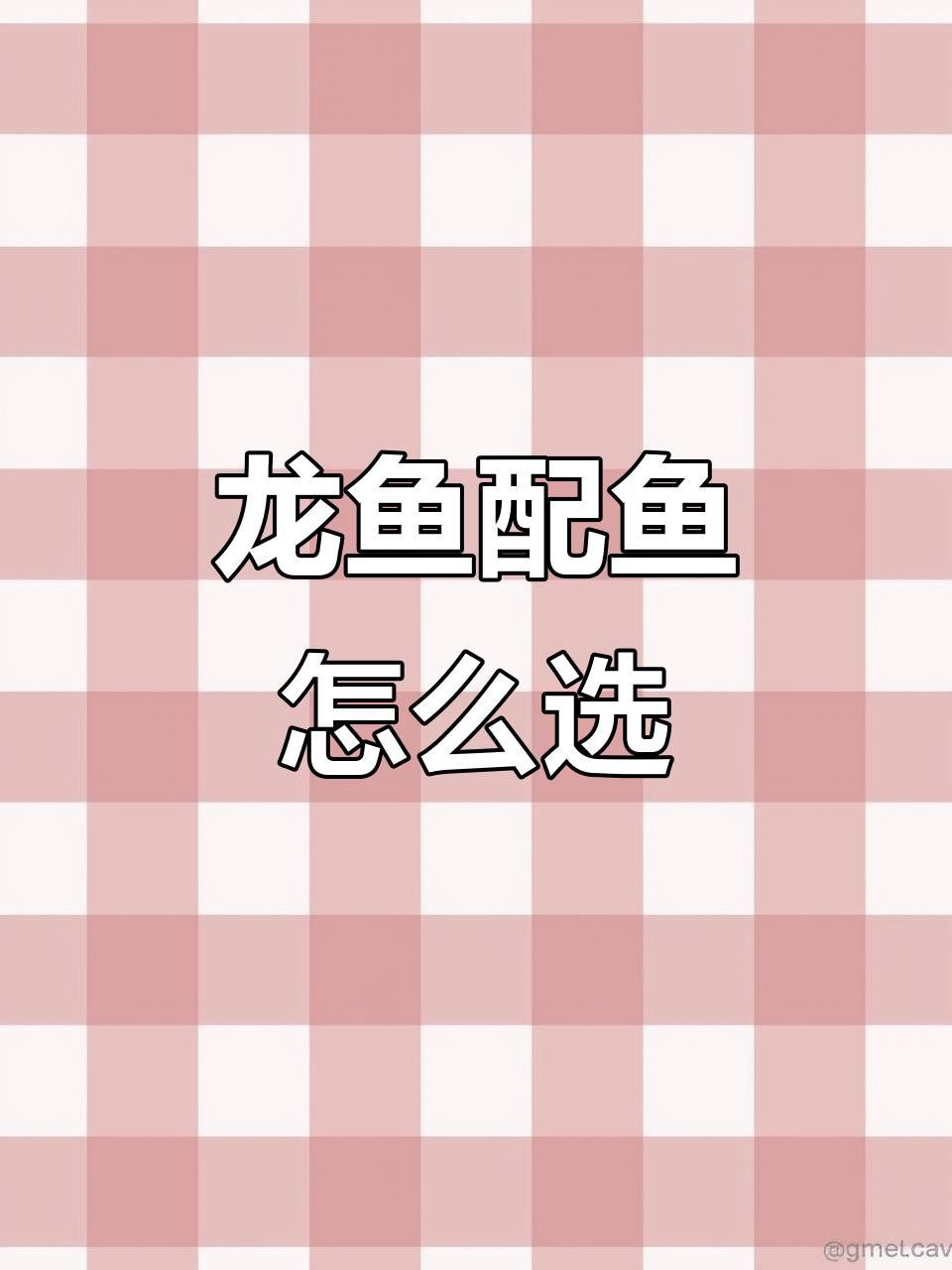 龍魚混養的最佳伴侶魚有哪些？ 龍魚混養的最佳伴侶魚有哪些？ 龍魚百科 第9張