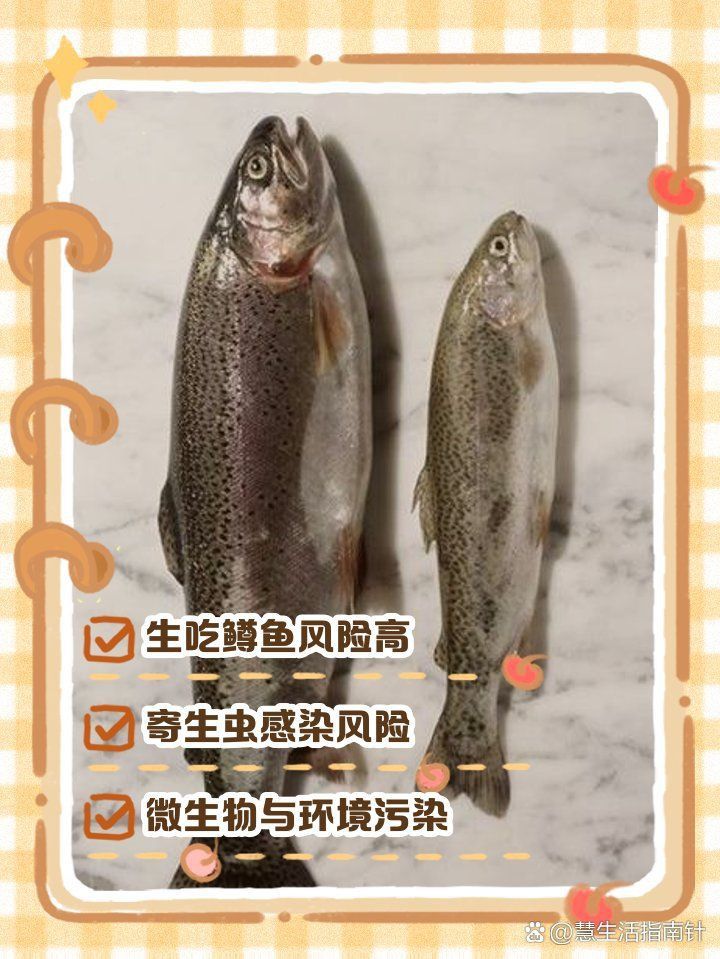 金鱒魚為何要盡量少吃 金鱒魚為何要盡量少吃 龍魚百科 第2張