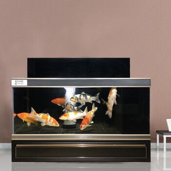 gdshangpin魚缸（gdshangpin魚缸價格對比）
