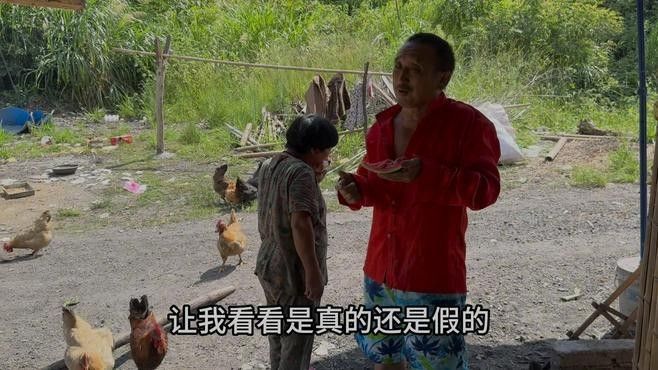 龍龍視頻有哪些熱門內(nèi)容？ 龍龍視頻有哪些熱門內(nèi)容？ 龍魚百科