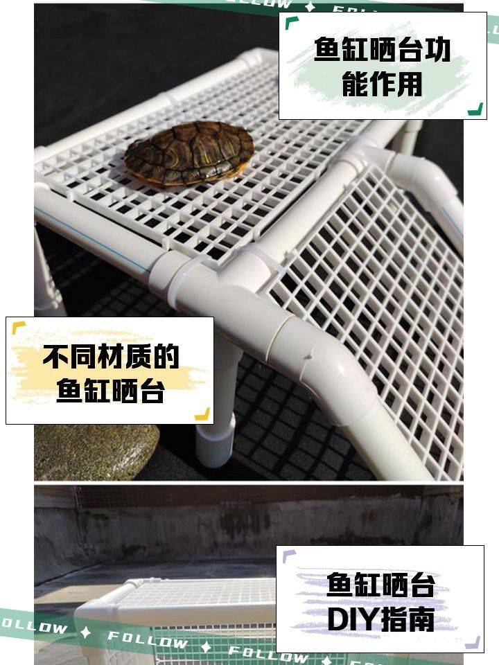如何為龍龜混養魚缸設置曬臺？