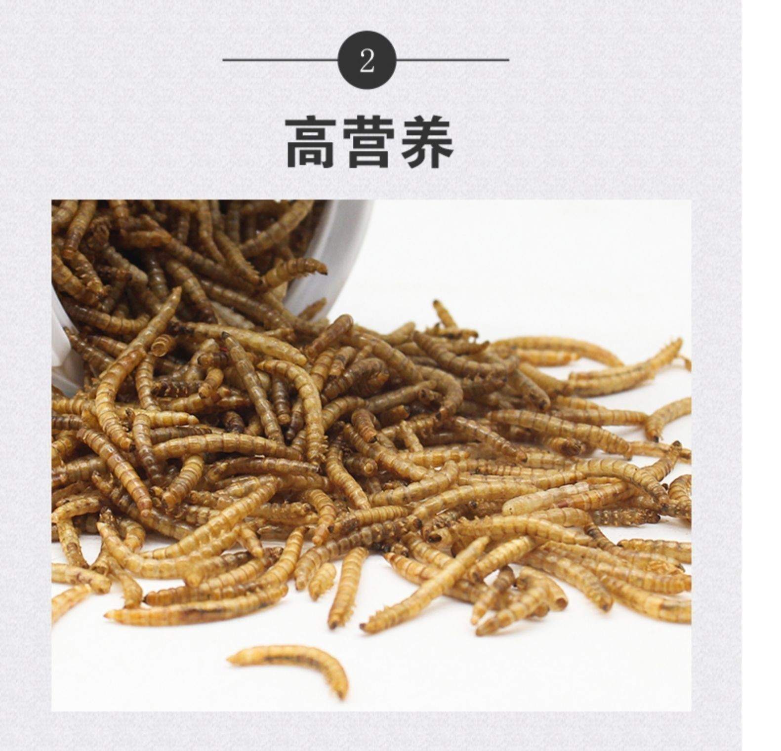 銀龍魚長期吃面包蟲好不好（銀龍魚長期吃面包蟲不是一個理想的選擇銀龍魚長期吃面包蟲）