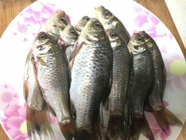龍魚淡水魚還是咸水魚好吃一點：龍魚是一種淡水魚嗎？