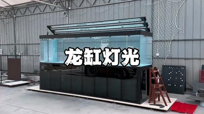 如何設(shè)置龍魚魚缸的光照？ 如何設(shè)置龍魚魚缸的光照？ 龍魚百科 第2張