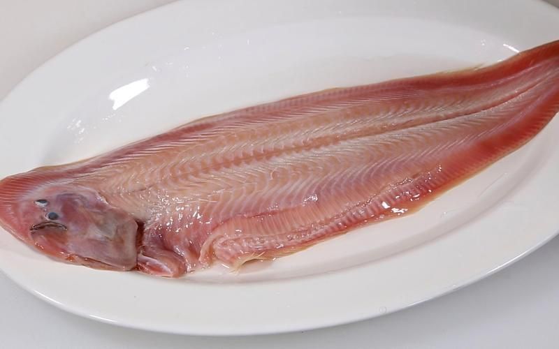 龍利魚長啥樣