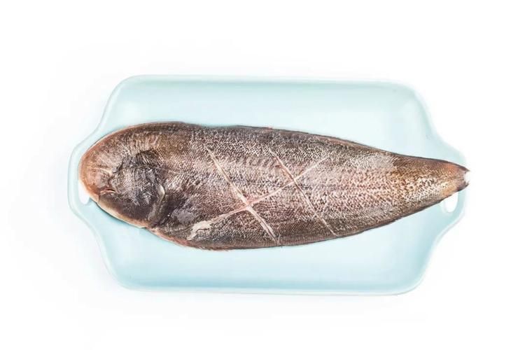龍利魚長啥樣