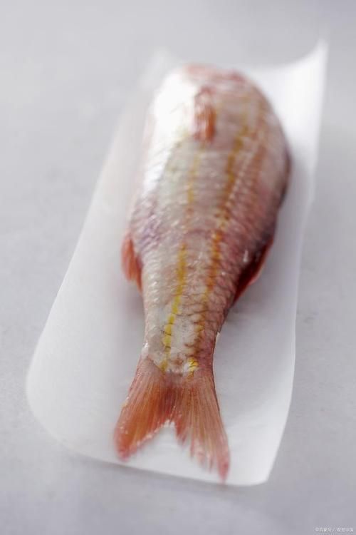 龍利魚長啥樣