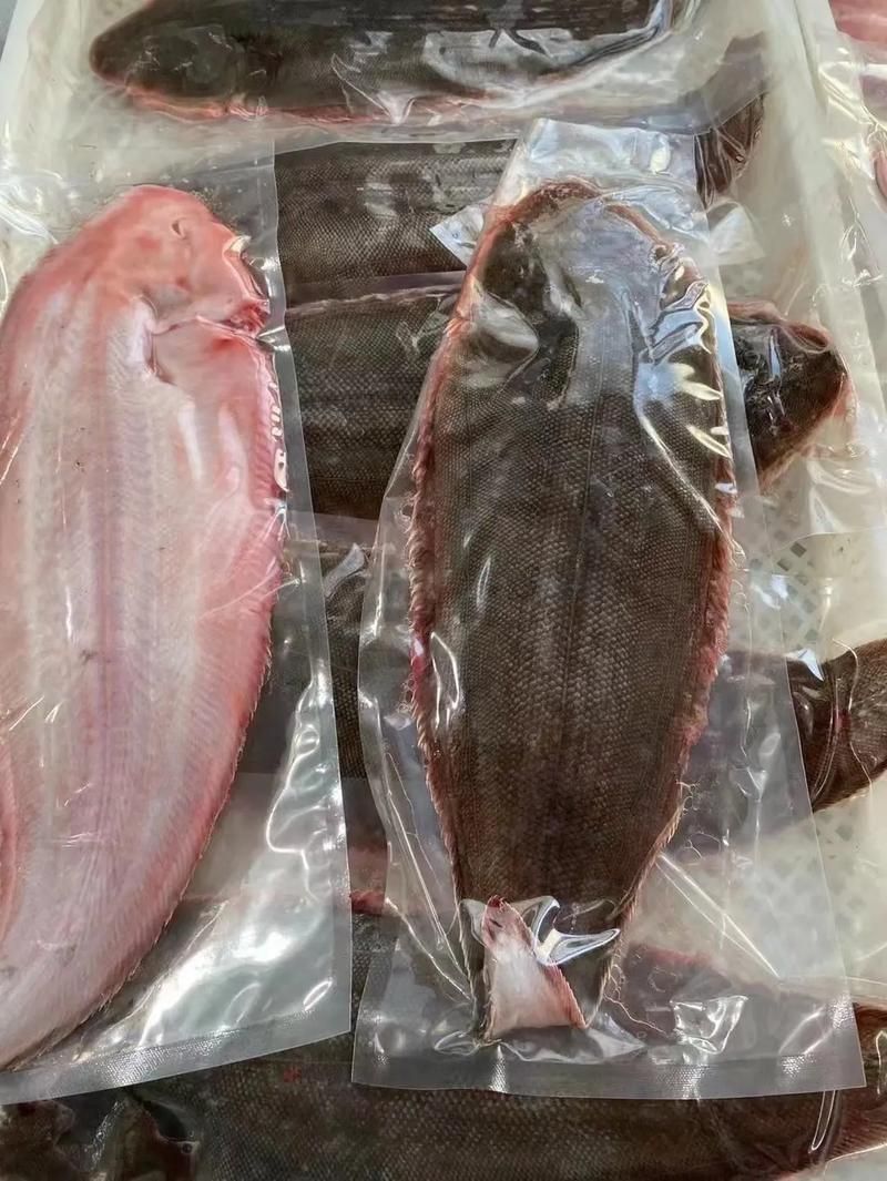 龍利魚長啥樣