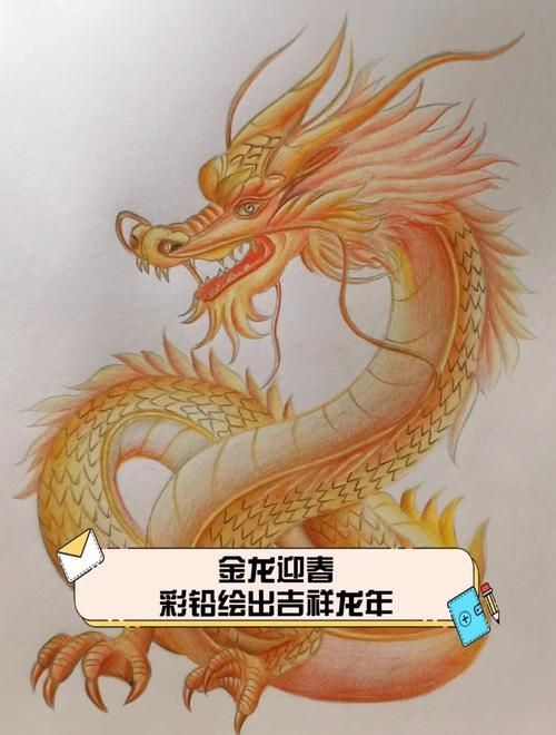 金龍發(fā)色順序圖 金龍發(fā)色順序圖 龍魚(yú)百科 第10張
