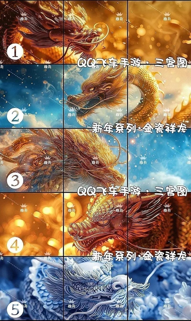 金龍發(fā)色順序圖 金龍發(fā)色順序圖 龍魚(yú)百科 第23張