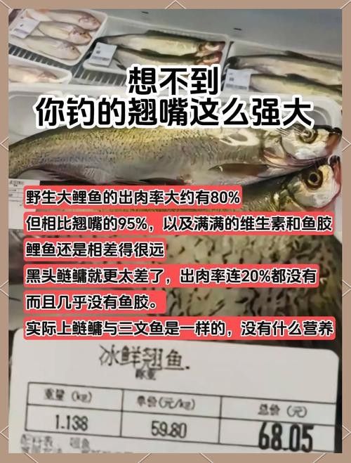 翹嘴魚和龍魚哪個貴
