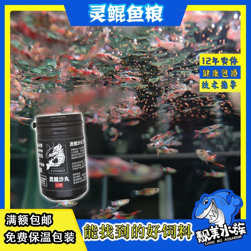 在哪買龍魚便宜又好