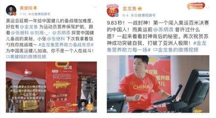 分析金龍魚品牌的內涵？（金龍魚品牌強調“家”的概念讓消費者感受到品牌溫馨、親切的氛圍）