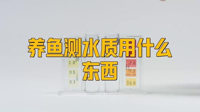 如何檢測水質是否適合龍魚？