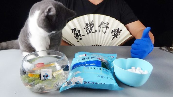 龍魚用什么藥殺菌消毒(lifeoctozin大白片消毒方法包括使用高錳酸鉀、真菌、真菌和真菌) 龍魚百科 第3張 龍魚用什么藥殺菌消毒(lifeoctozin大白片消毒方法包括使用高錳酸鉀、真菌、真菌和真菌) 龍魚用什么藥殺菌消毒(lifeoctozin大白片消毒方法包括使用高錳酸鉀、真菌、真菌和真菌) 龍魚百科 第3張
