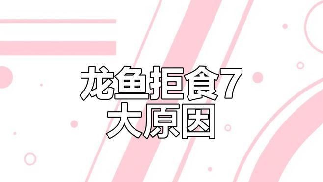 銀龍魚趴缸底不吃食 銀龍魚趴缸底不吃食 龍魚百科 第1張